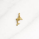 Laguna Charm Gold als Delfin-Anhänger aus Edelstahl 316L, glänzend und elegant vor hellem Hintergrund.